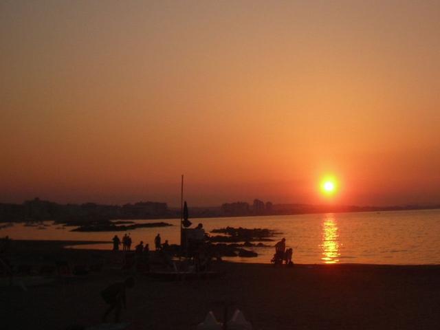 أفيتاكامير ديلا فيتوريا