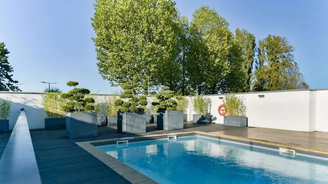 جولدن تيوليب رويزي سانت وتز