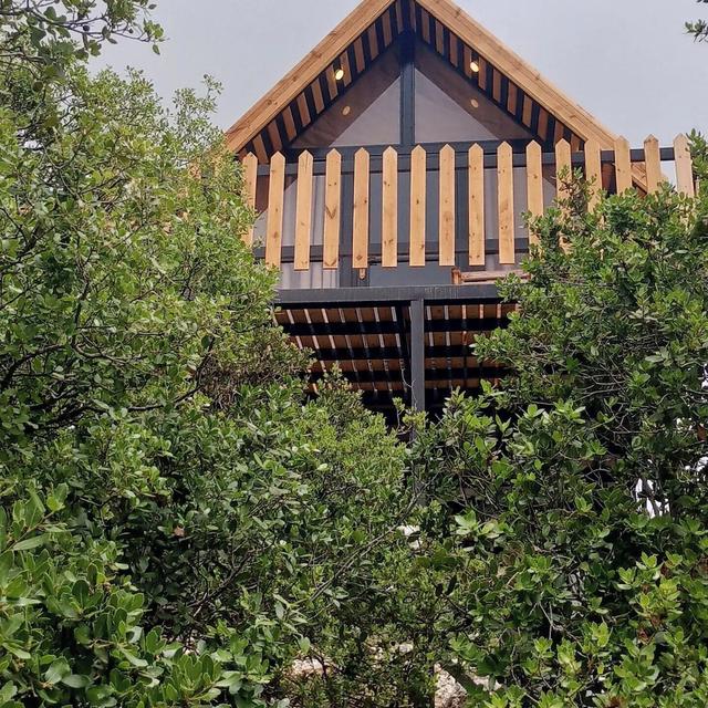 orchid huts