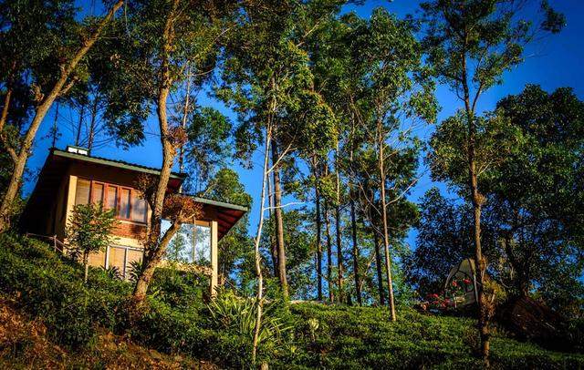 ذا تي كوتيدج ريزورت آند سبا