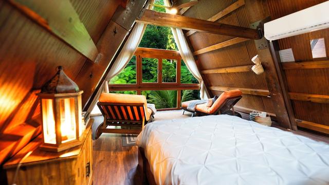 مونت كاربي دييم