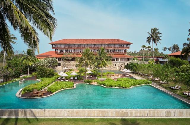 سينامون بينتوتا بيتش - سيجنيتشر سيليكشن