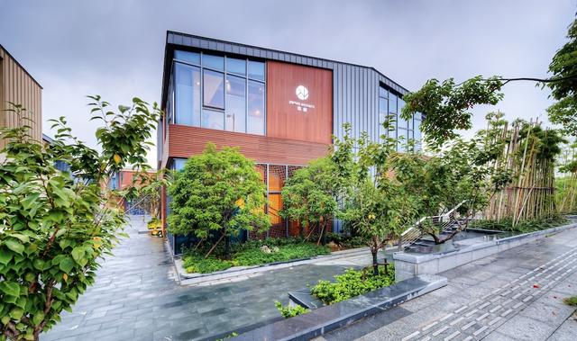 جويشو ريزورتس وكسي