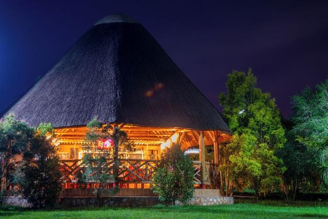 أفريكان روتس إنتيبي