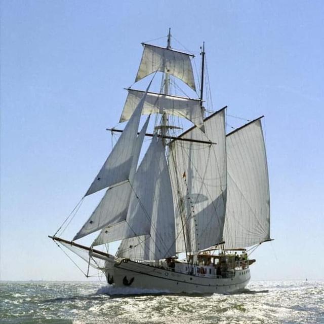 إماكوليتي 8 بد كوتيدج إن هارلينجن