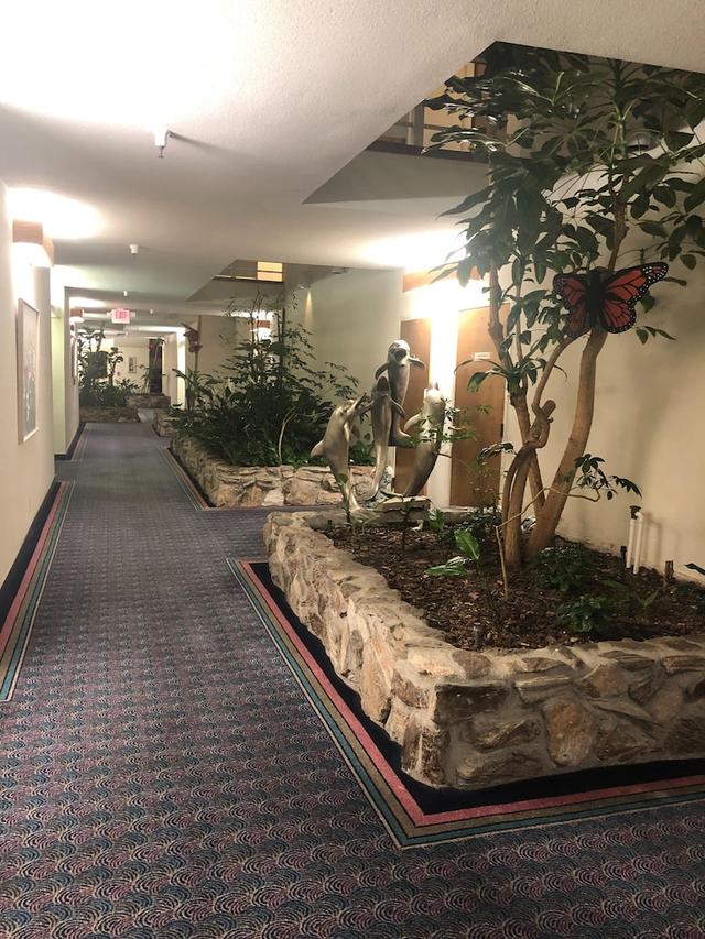 مونارك ريزورت