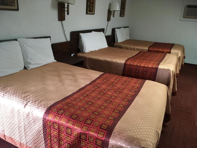 كانسان موتل