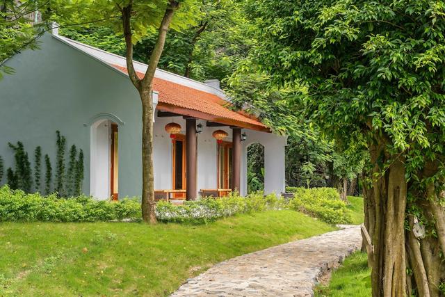 موا كايفز إكولودج