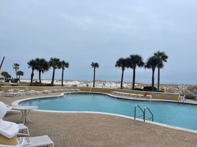 إيميرالد أيل 1502