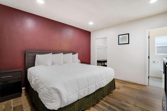 إيكونو لودج