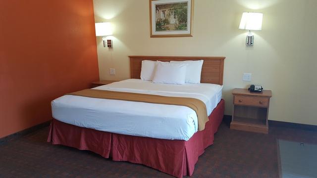 ستديوم موتل