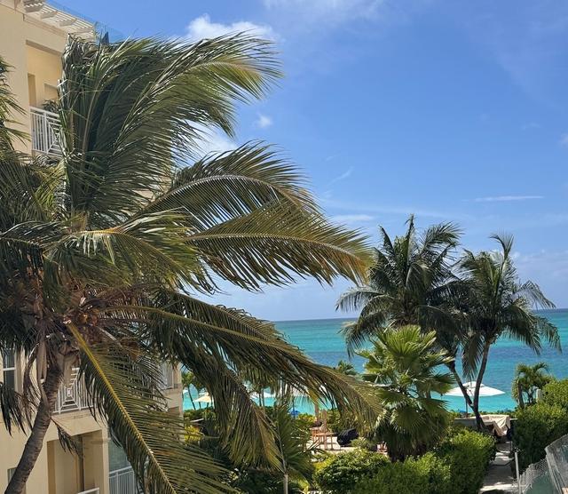 ويندسونج اون ذا ريف