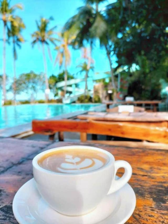 فندق ومنتجع ومركز مؤتمرات بالماس ديل مار