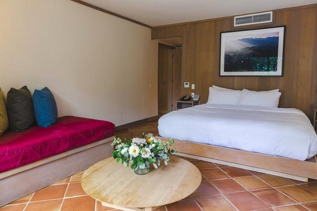 ستيدجكوتش إن