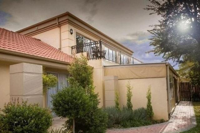 إليزابيث لودج