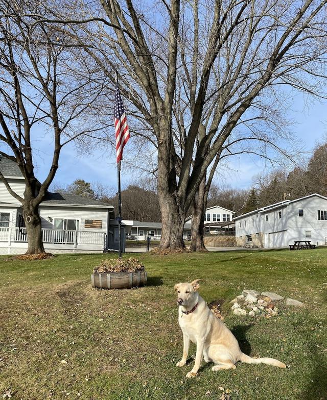 ليتل بلاف إن