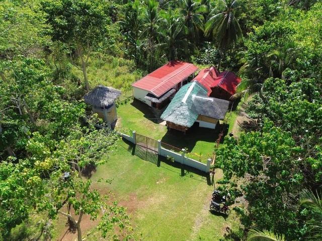 روز أبارتمنتس