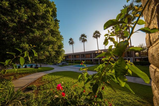 هوتل كولونيال ميكسيكالي