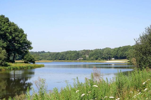 تير دو فرنسا - دومين دو مولين نيوف