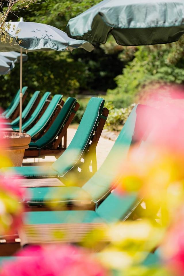 دوماين داورياك