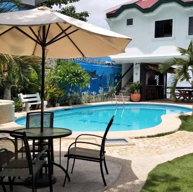 لوفر بيتش آند دايف ريزورت