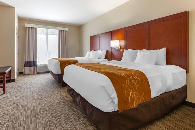 كومفورت سويتس أوشكوش