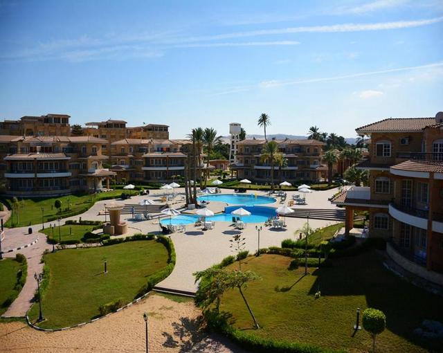 توليب إن فايد