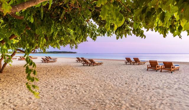 صن رايز باسيكودا