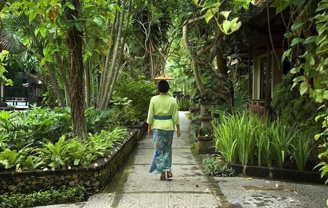 هوتل بوري بامبو