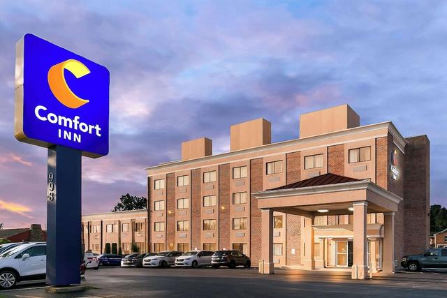 كمفرت إن ريد هورس فريدريك