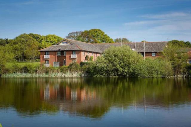 دراجونفلاي هوتل كولتشيستر