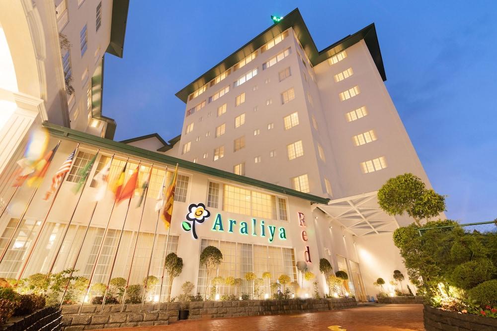 أراليا ريد - بدجيت فريندلي هوتل - وير يو فيند ستونينج 360 بانوراميك فيو أوف نوارا إليا