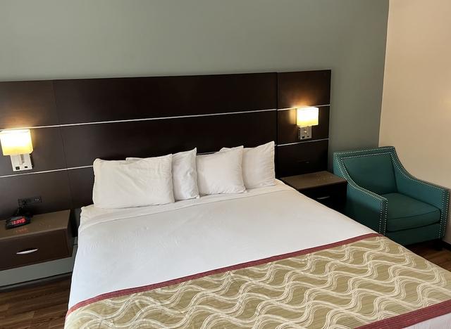 أوليف تري إن