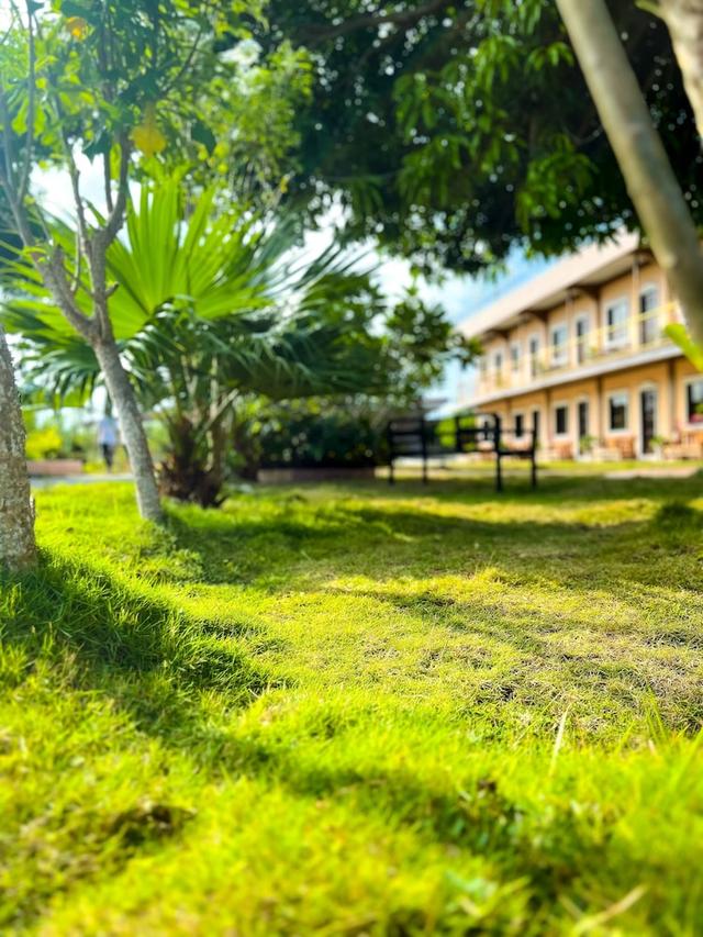 لا بلوميرياس