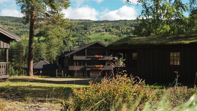 هوندرفوسن لايلهيتر هافييل