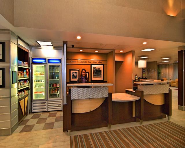 هامتون إن آند سويتس ماونتن فيو