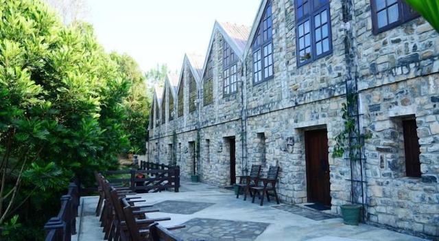 ذا ماونت رويال