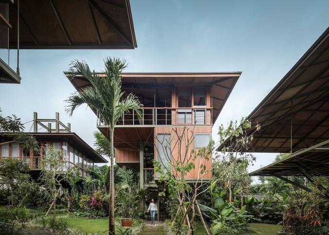 جرون كانغو جاردن