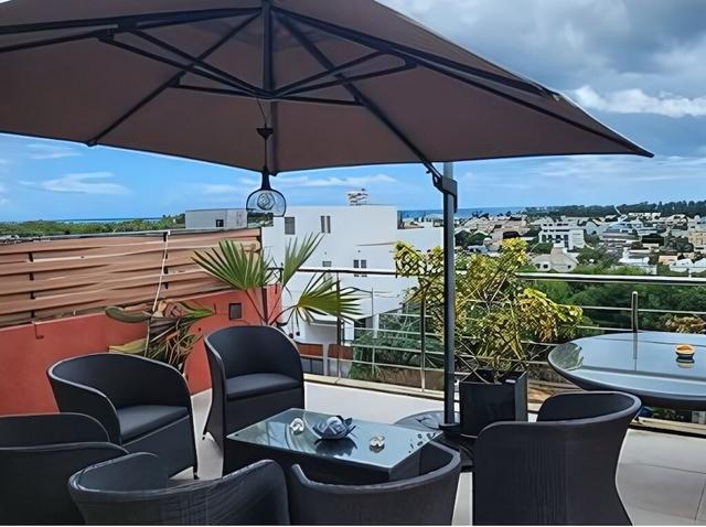 بالميرا أواسيس فليك أون فلاك