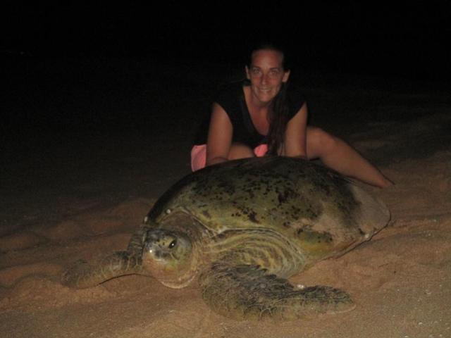 أول فيو ريزورت