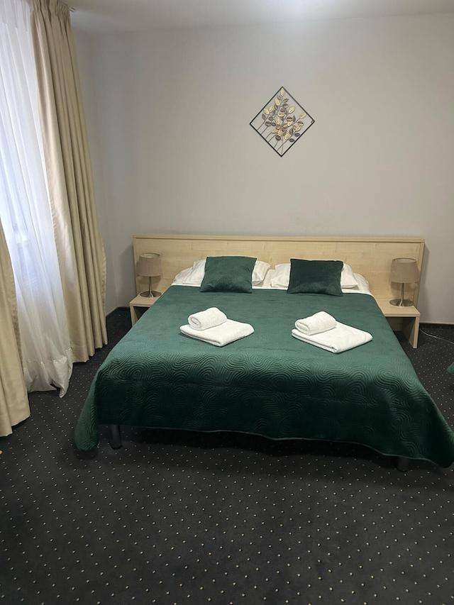 هوتل باسيفيك تيميسوارا