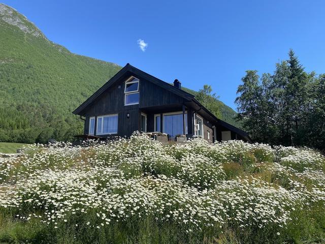 هاينولي هيتا