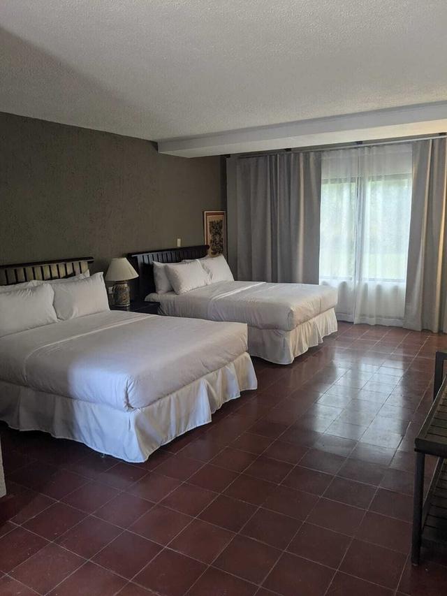 آنسيسترال كوبان