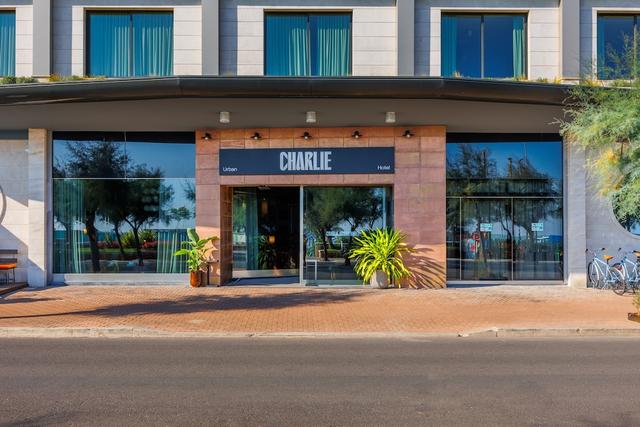 تشارلي إن بيسارو