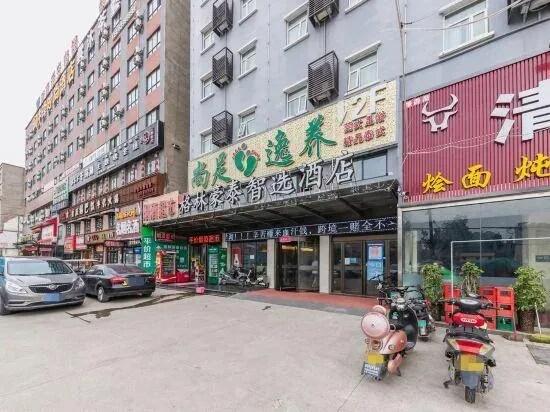 جرين تري إن تشنغتشو فانجت جرين إكسبو بارك شانغدو رود