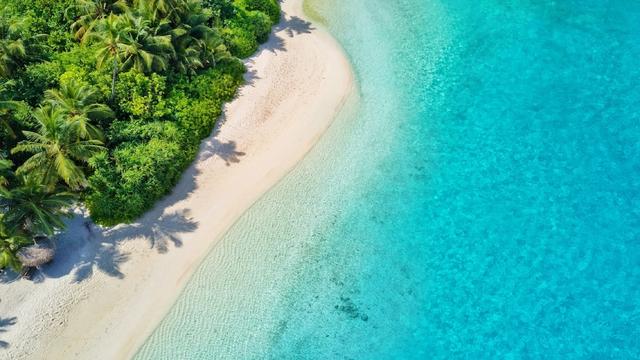 فانها مالديفس