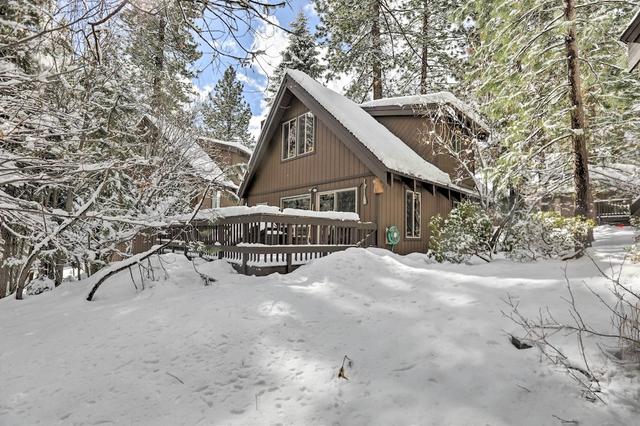 ليزي بير كابين