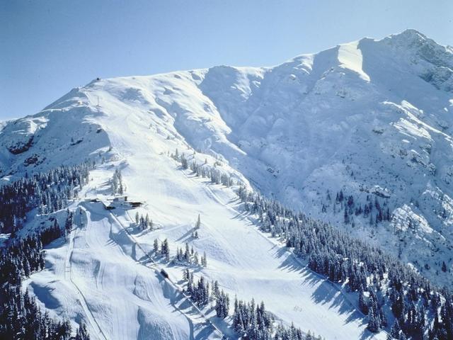 أبارتمنت إن سيفيلد نير روشوت