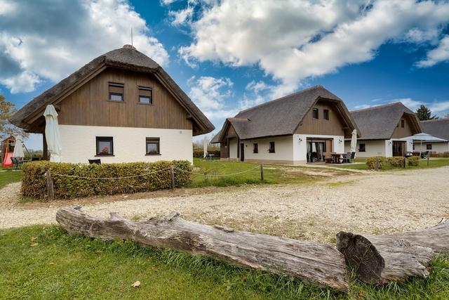 بانونيان ستوديو مانساردي فور 2