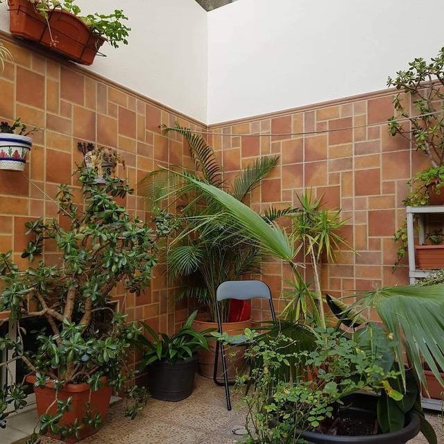 بنسيون لا فيجا